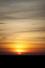 _MG_9926